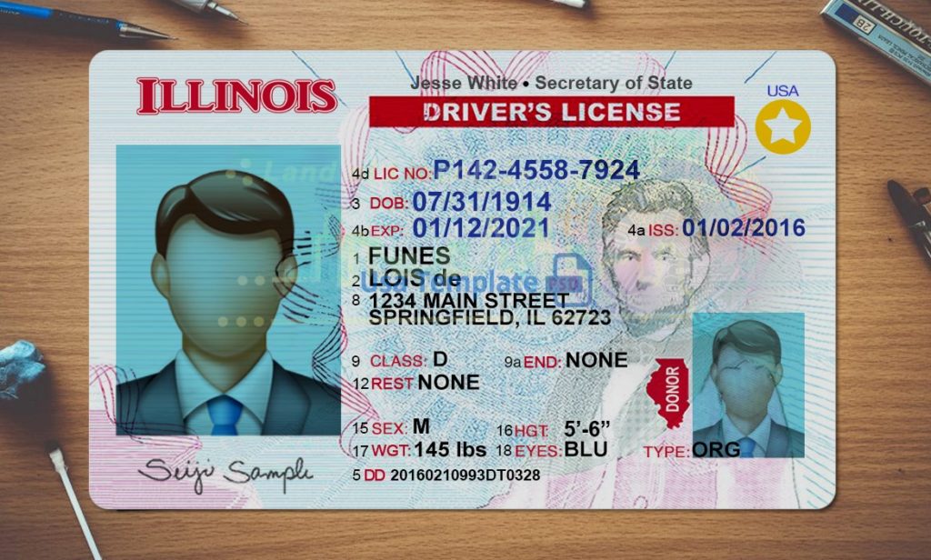 free drivers license template